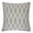 Gray, variant on Cherie Gray Geometric Polyester 20 in. x 20 in. Throw Pillow