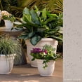 thumbnail image 2 of Bloem Ariana 16" Self-Watering Plastic Planter - Rolled Rim Indoor/Outdoor Garden Pot, Vanilla Bean, 2 of 8