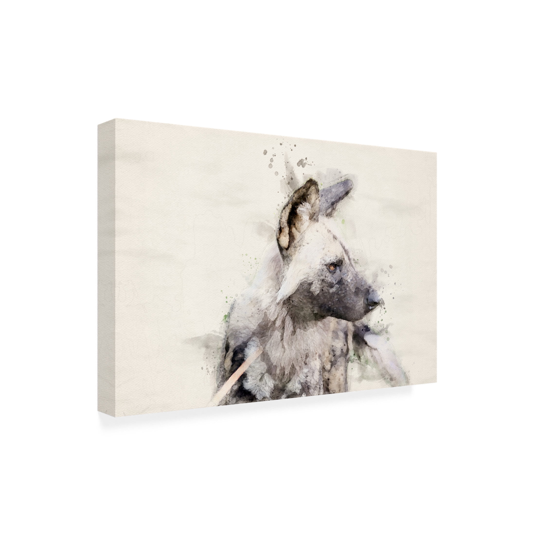 Trademark Fine Art Arno Du Toit Abstract African Wild Dog Watercolor Art Canvas Wall Art