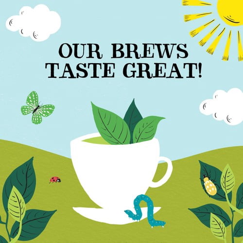Clipper Organic & Fairtrade Green Tea 40's, British Import (Pack of 2)