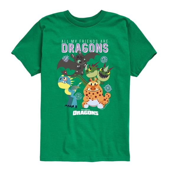 How to Train Your Dragon - All My Friends Are Dragons - Youth Boys Short Sleeve Graphic T-Shirt