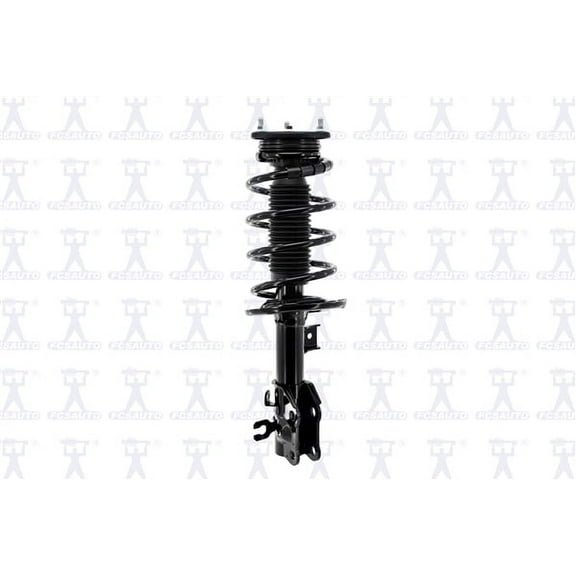 Suspension Strut and Coil Spring Assembly