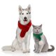 thumbnail image 1 of Paquete de 2 bufandas navideñas para disfraz de mascota para perros y gatos (pequeña), 1 of 5