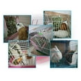 thumbnail image 7 of Walbest Rabbit Feeder Bunny Guinea Pig Feeder Guinea Pig Feeder Chinchilla Plastic Food Bowl (Pink), 7 of 7