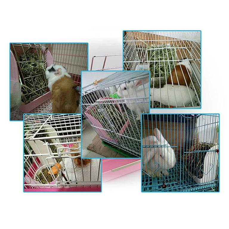 Timed rabbit cheap feeder