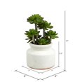 thumbnail image 2 of Vickerman FE181701 Pot en Céramique Rond pour Succulentes Vertes 11 Po., 2 of 2