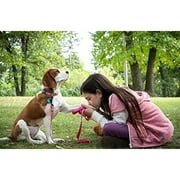 A Dogs Journey / A Dogs Purpose 2-Movie Collection (DVD)