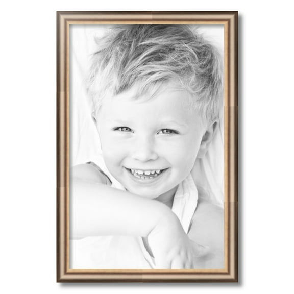 ArtToFrames 16x25" Anique Silver Picture Frame, Silver Wood Poster Frame, with Regular Acrylic and 2 (FBPL-4964)