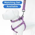thumbnail image 6 of Pawtitas 6 FT Dog Leash Reflective Dog Leash Dog Training Leash Puppy Leash Small Dog Orchid Leash, 6 of 9