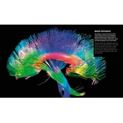 DK Knowledge Encyclopedias Knowledge Encyclopedia Human Body!: Human Anatomy as Youve Never Seen It Before, (Hardcover)