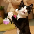 thumbnail image 4 of 10PCS Cat Toy Ball Fish Interactive Bell Ball Toy Pet Playing Ball Kitten Toy, 4 of 10