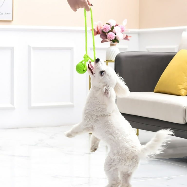 Rubber Dog Rope Toy with Ball Tug of War Chew Toy for Medium