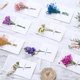 thumbnail image 4 of Tarjetas de Felicitación de sobre de flores secas, invitaciones de boda, Postales de escritura a mano, tarjetas de regalo, tarjetas de agradecimiento, 10 piezas por juego, 4 of 4