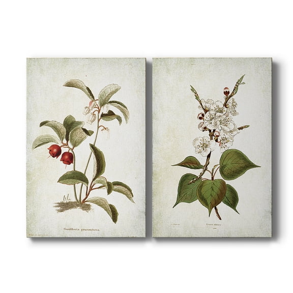 Wexford Home Vintage Floral - 8" x 12" Wrapped Canvas Prints (Set of 2), Ready to Hang