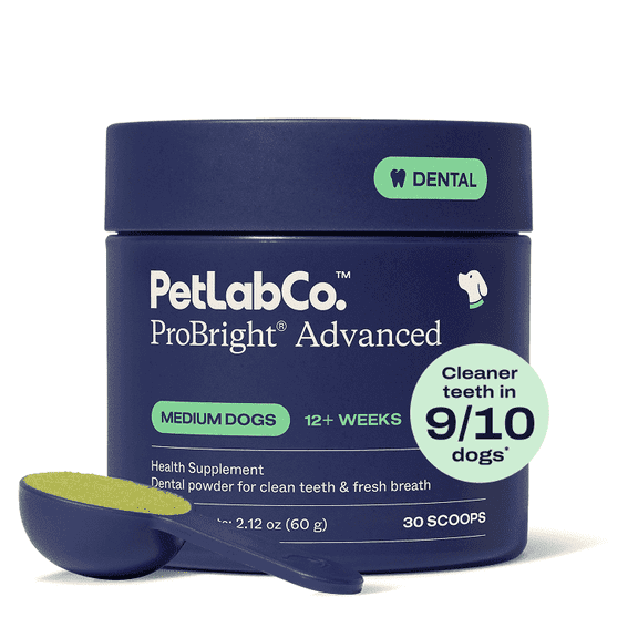 PetLab Co. ProBright Advanced Dental Powder - Award Winning Dog Breath Freshener - Teeth Cleaning Made Easy – Targets Tartar & Bad Breath - Formulated for Medium Size Dogs