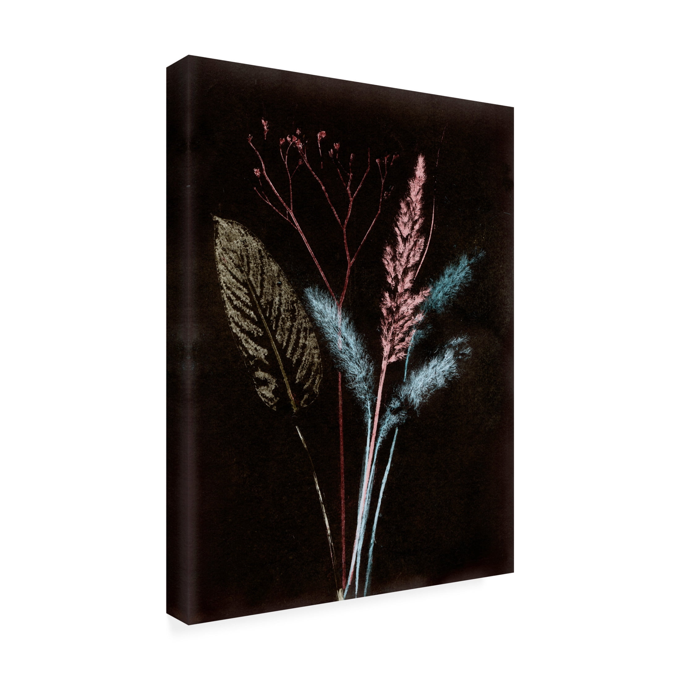 Canvas Wall Art - Pernille Folcarelli 'Bouquet 4 Dark' Wall Art for Living Room, Bedroom, or Office Décor by Trademark Fine Art - 18 x 24 Inches