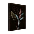 thumbnail image 4 of Canvas Wall Art - Pernille Folcarelli 'Bouquet 4 Dark' Wall Art for Living Room, Bedroom, or Office Décor by Trademark Fine Art - 18 x 24 Inches, 4 of 4