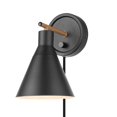 thumbnail image 1 of Lámpara de pared regulable Light Fixture GLOBE 51725, 1 luz, 1 of 9