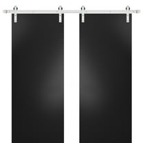Sturdy Double Barn Door with Hardware | Planum 0010 Black Matte | 13FT Rail Hangers Heavy Set | Modern Solid Panel Interior Doors -36" x 96" (2* 18x96)-Silver Rail