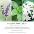 thumbnail image 3 of Chesapeake Bay Candle Minimalist Collection Lavender Mint Leaf - 12.7oz Large Ribbed Glass Jar Candle, 3 of 5