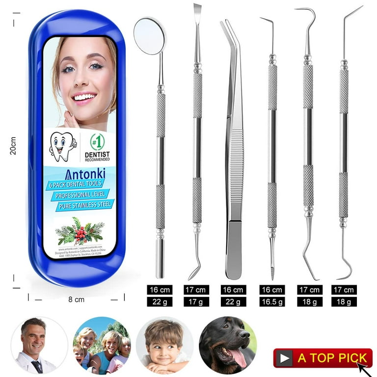 Dental Tools 10-Pack Oral Care Tools Stainless Steel Plaque Remover for  Teeth Stainless Steel Kit with a Case