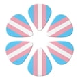 thumbnail image 6 of 6pcs Set Transgender Flag Guitar Picks Plectrums for Bass Electric Guitar Acoustic Guitar Lovers Guitarists, 6 of 7