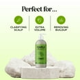 thumbnail image 5 of Tea Tree Oil Shampoo Sulfate Free Shampoo - Maple Holistics Tea Tree Oil Dry Scalp Shampoo For Oily Hair with Rosemary - Scalp Care Hydrating Shampoo for Women & Men with Natural Essential Oils, 5 of 10