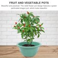 thumbnail image 3 of unbranded Maceta Y Duradera Para Plantas Con Orificios De Color, 3 of 8