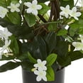 thumbnail image 3 of Nearly Natural 24" Stephanotis Artificial Climbing Plant, White, 3 of 6