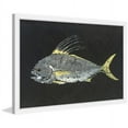 thumbnail image 2 of Marmont Hill "Roosterfish" by Warren Sellers Framed Painting Print, 2 of 6