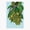 1pcs, variant on Guinep, Quenepa, Mamoncillo, Chenet Fruits Er, Phone Decal Water Bottle Stickers Car Decals, Funny Birthday Gift