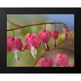 thumbnail image 2 of Fitzharris, Tim 24x20 Black Modern Framed Museum Art Print Titled - Bleeding Hearts IV, 2 of 5