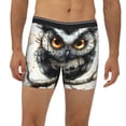 thumbnail image 2 of Disketp Whimsical Owl On Branch Men's Boxer Briefs Men’s Underwear Boxer Briefs for Men, 2 of 7