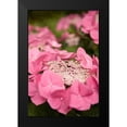 thumbnail image 2 of Millet, Karyn 17x24 Black Modern Framed Museum Art Print Titled - Lace Hydrangea I, 2 of 5