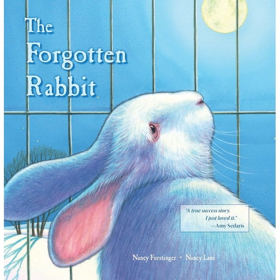 The Forgotten Rabbit (Hardcover)