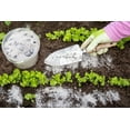 thumbnail image 2 of CZ Grain Wood Ash Garden Fertilizer, 2 Gallons with Excellent pH Balancer, 2 of 2