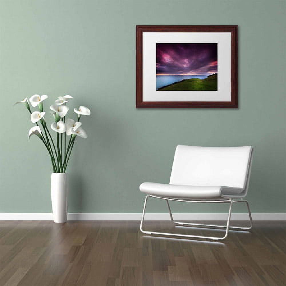 Trademark Fine Art "Scottish Colors" Canvas Art by Philippe Sainte-Laudy, White Matte, Wood Frame