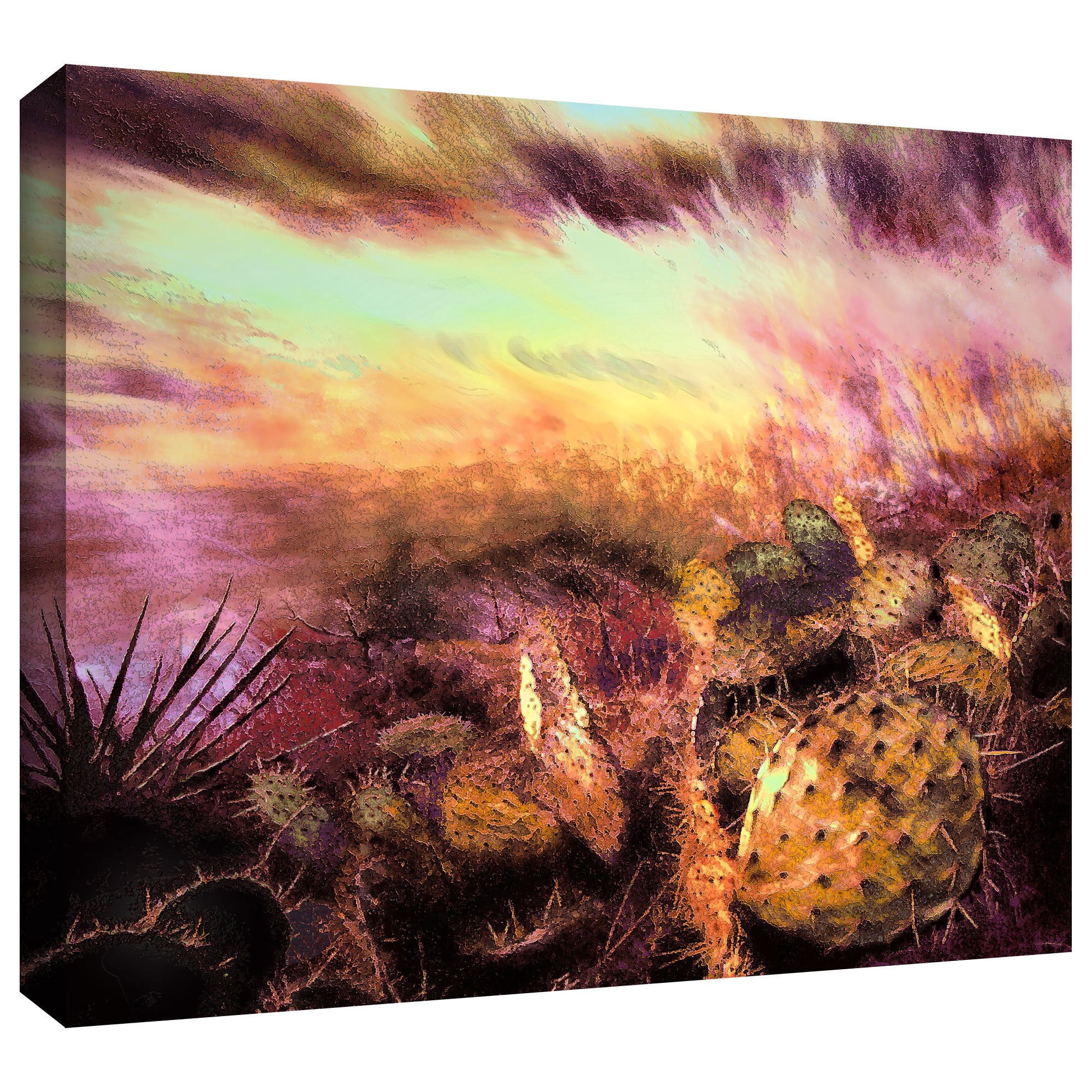 Dean Uhlinger "Velludo Cacto" Gallery-Wrapped Canvas