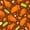 Color 3, variant on Peel and Stick Wallpaper 23.6in x 9.8ft Chicken farm Farmhouse hand drawn ink Chicken coop hens Contact Paper Vinyl Waterproof Self Adhesive Wall Paper for Bedroom Shelf Cabinet Renter Friendly