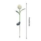 thumbnail image 2 of Lámpara Solar de Crisantemo En Forma de Bola, Led para Exteriores, para Decoración de Jardín., 2 of 2