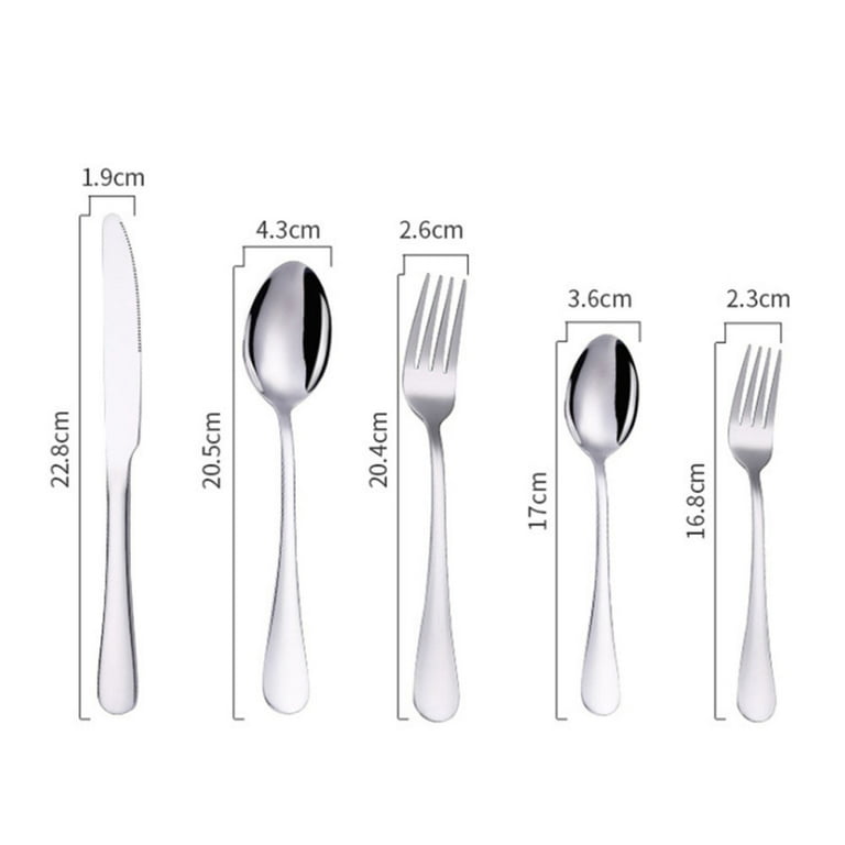 Deago 12 Pcs 5.1 Dinner Spoons Set Food Grade Stainless Steel Spoons  Silverware for Home, Kitchen or Restaurant - Mirror Finish & Dishwasher  Safe 