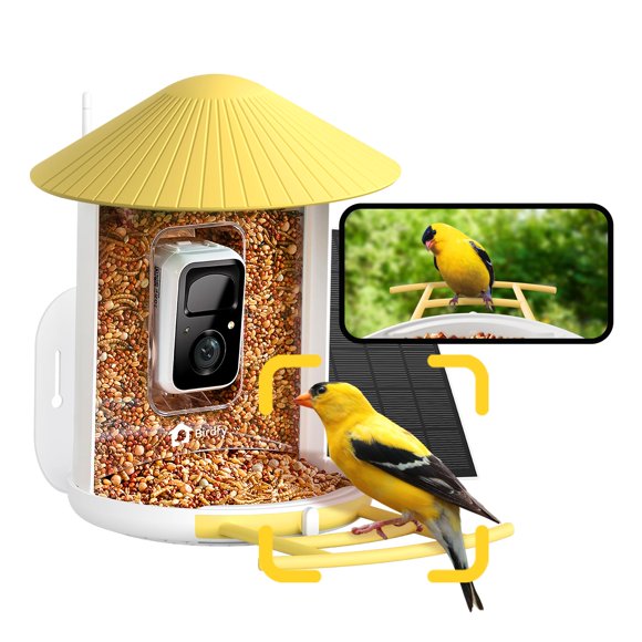 Comedero inteligente para pájaros NETVUE con cámara de 2 MP y visión nocturna