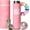 Pink, variant on Infuser Bottle 450ml - Insulated Stainless Steel Water Bottle - Tumbler with Diffuser - Portable Travel Mug for Loose Leaf & Infused Water - Lovers Gifts for Women ()