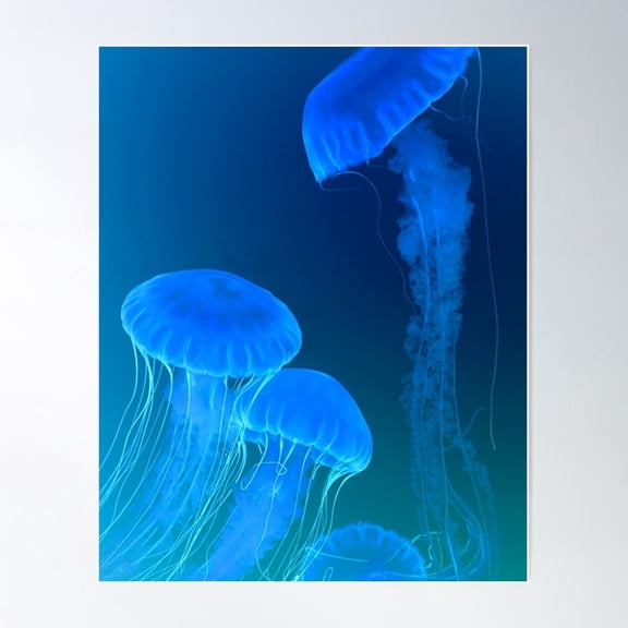 Purple Blue Jellyfish In The Dark Blue Ocean. Poster Wall Art, Modern Wall Decor For Living Room Bedroom, 12x18 UNFRAMED