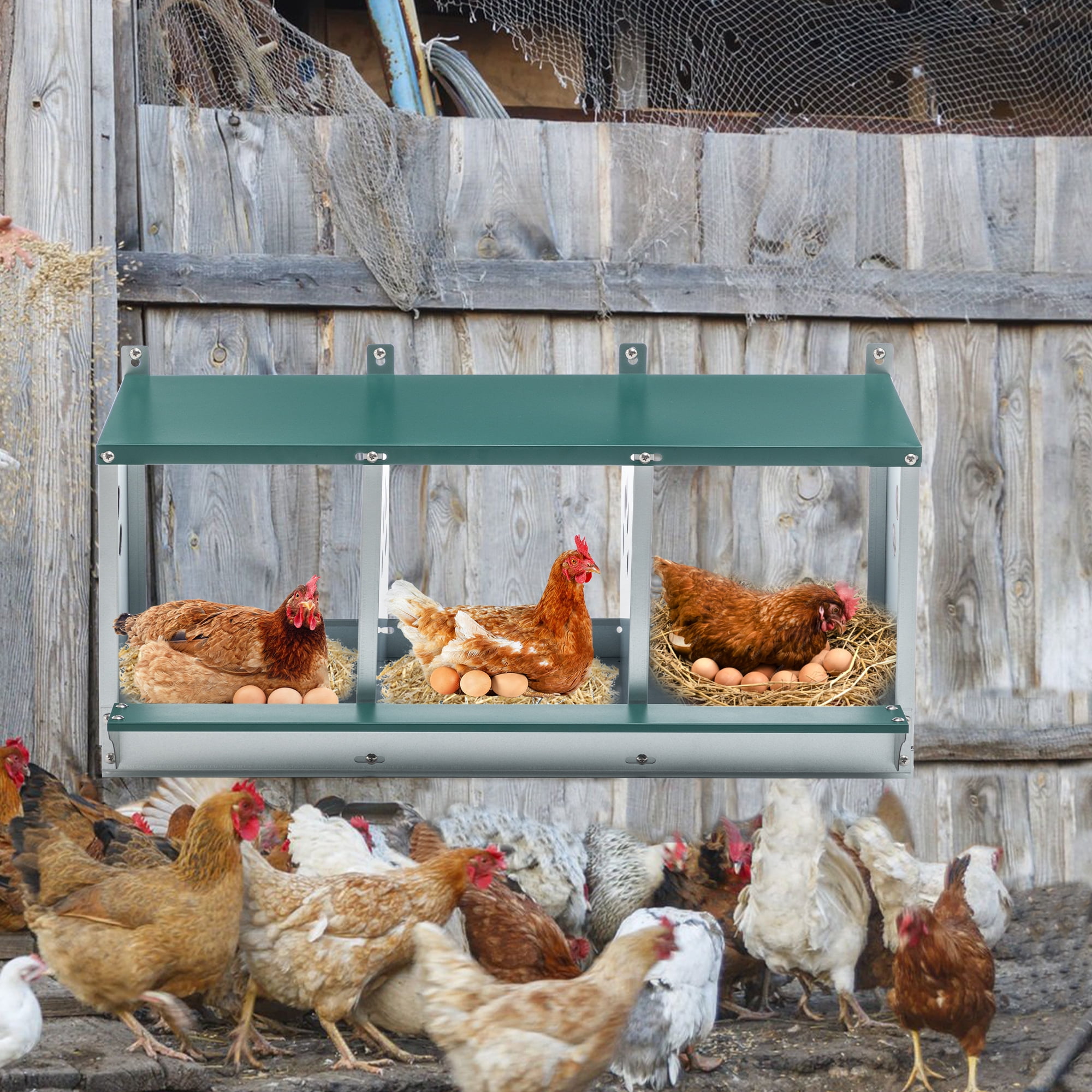 Metal Nesting Boxes for Chicken, 3 Compartment Nesting Box, Galvanized steel Nesting Boxes for Hens