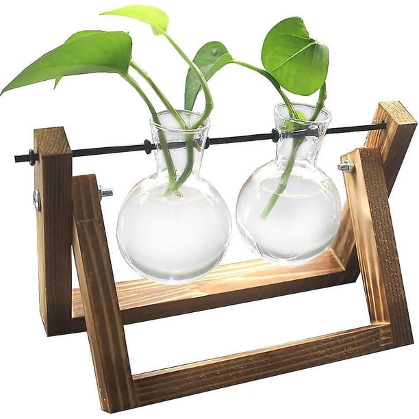2 Vasen Soporte de madera Deco con jarrón de cristal hidropónico, florero colgante, florero de mesa, florero decorativo
