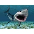 Shark Backdrop Fabric 8X6Ft Aquarium 3D Great White Shark Underwater