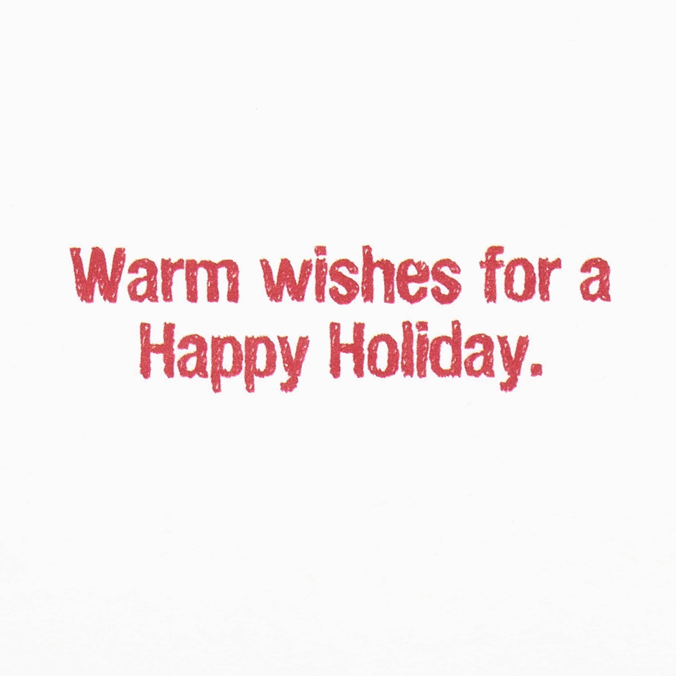American Greetings Funny Christmas Greeting Card for Anyone, (Warm Wishes)