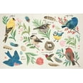 thumbnail image 2 of Penner, Janelle 32x23 White Modern Wood Framed Museum Art Print Titled - Bird Study I, 2 of 4