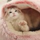 thumbnail image 5 of Cama para Con Nido Gatos Calmante Redonda Y Esponjosa Funda Capucha Interior, 5 of 9